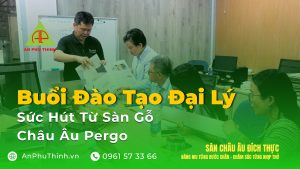 Buổi Đào Tạo Đại Lý: Sức Hút Từ Sàn Gỗ Châu Âu Pergo