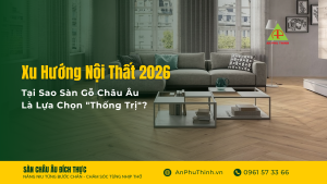hình chính 20-3 (1)