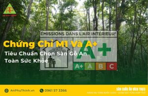 Chứng chỉ M1 và A+