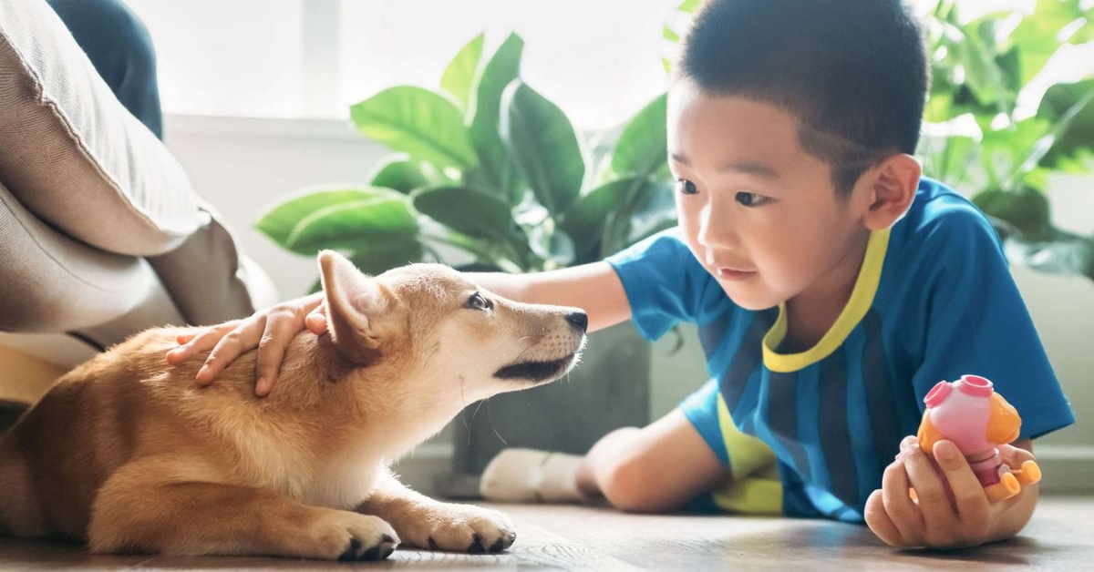 TitanX™ có phù hợp với gia đình có trẻ nhỏ và thú cưng