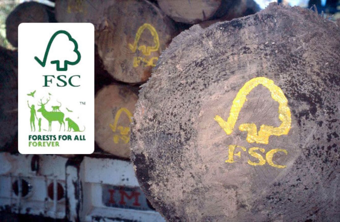 Sản phẩm nào cần có chứng nhận FSC
