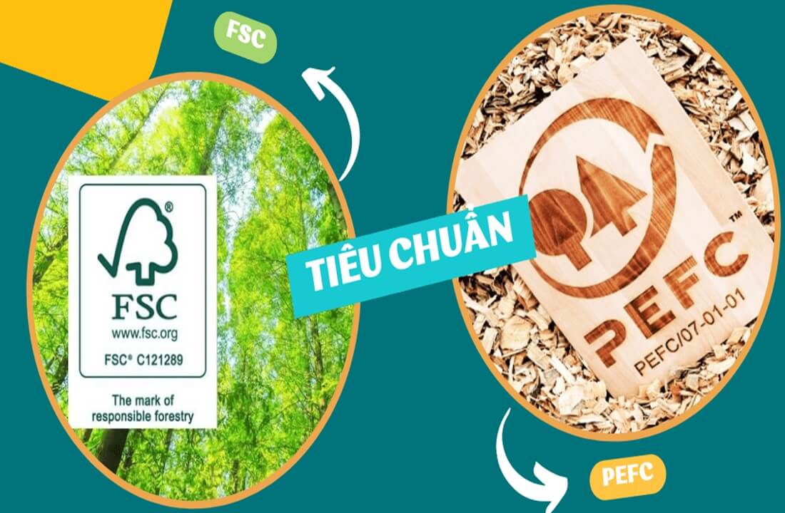 Tiêu chuẩn FSC và PEFC 