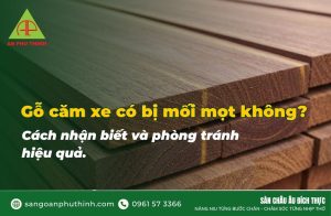 Gỗ căm xe có bị mối mọt không