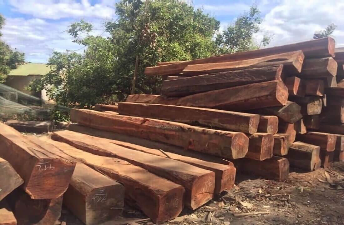 gỗ căm xe và ứng dụng