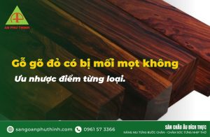 Gỗ gỏ đỏ có bị mối mọt không