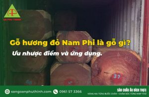 Gỗ hương đỏ Nam Phi