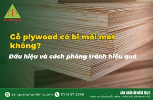 Gỗ plywood có bị mối mọt không