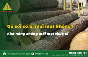Gỗ sồi có bị mối mọt không
