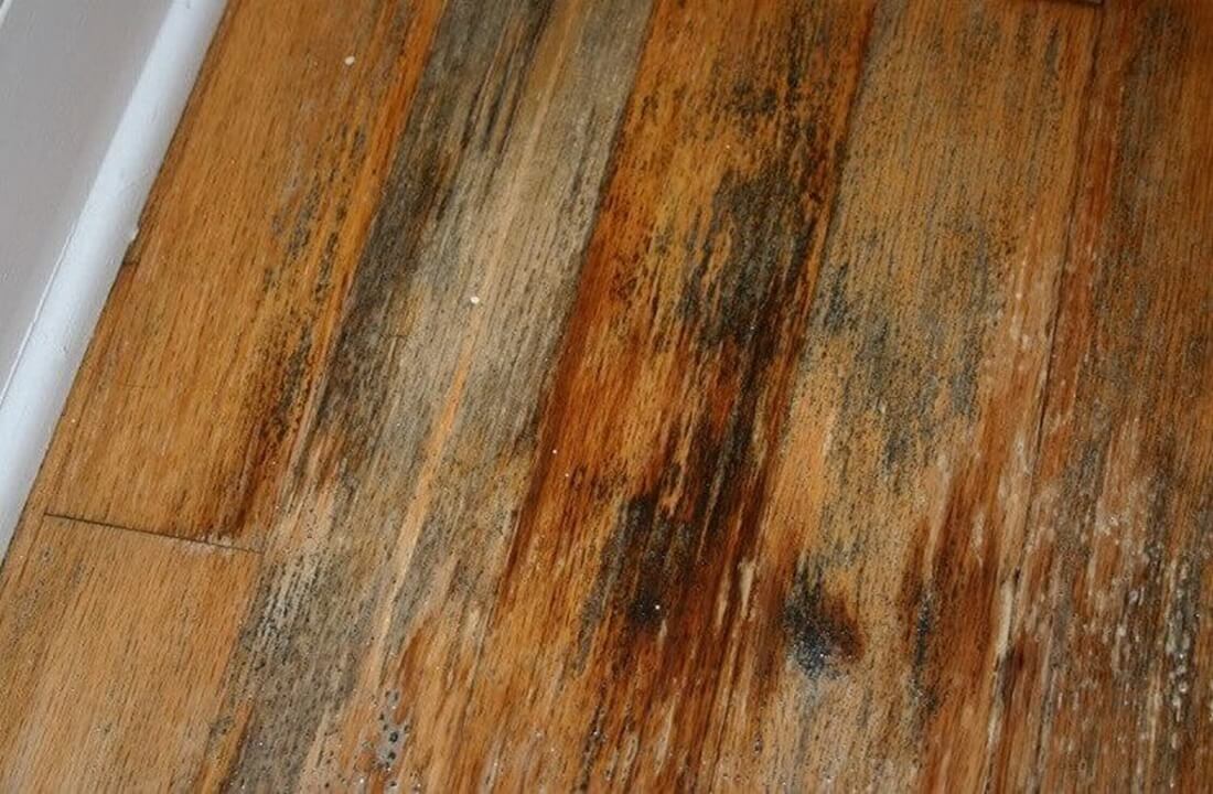 sàn gỗ bị bạc màu