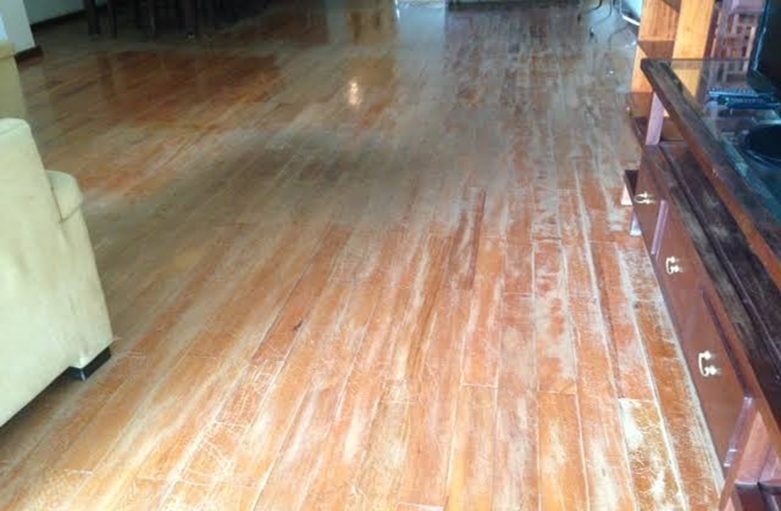 sàn gỗ bị xỉn màu