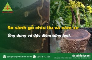 So sánh gỗ chiu liu và căm xe