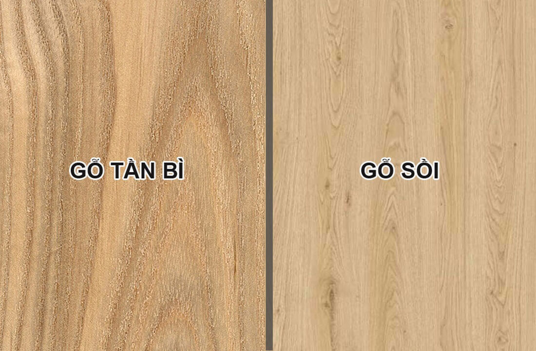 So sánh gỗ tần bì và gỗ sồi